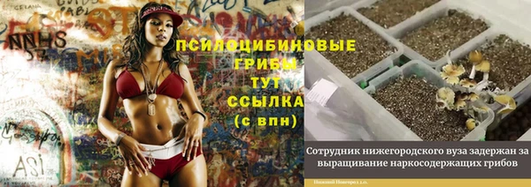 хмурый Покровск