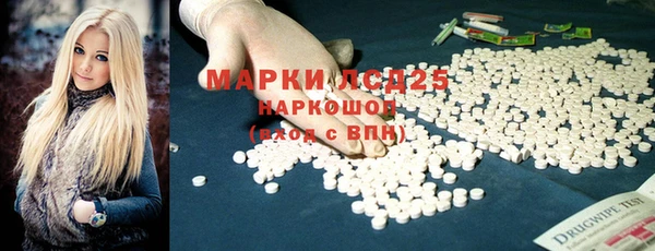 ГАЛЛЮЦИНОГЕННЫЕ ГРИБЫ Покачи