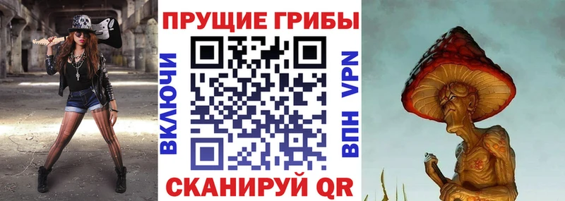 Купить где  Кемерово  Галлюциногенные грибы ЛСД 