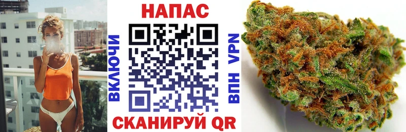 Купить  Кемерово  Бошки марихуана OG Kush 